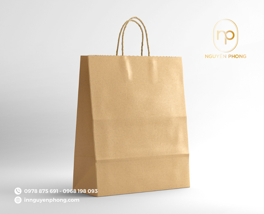 Mẫu túi giấy đựng sách đơn giản 